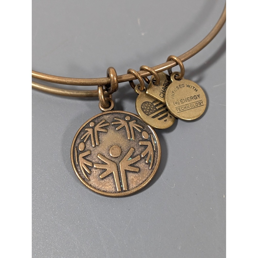 Alex and Ani Power of Unity Charm Bangle Bracelet Bronze Tone 7.5"